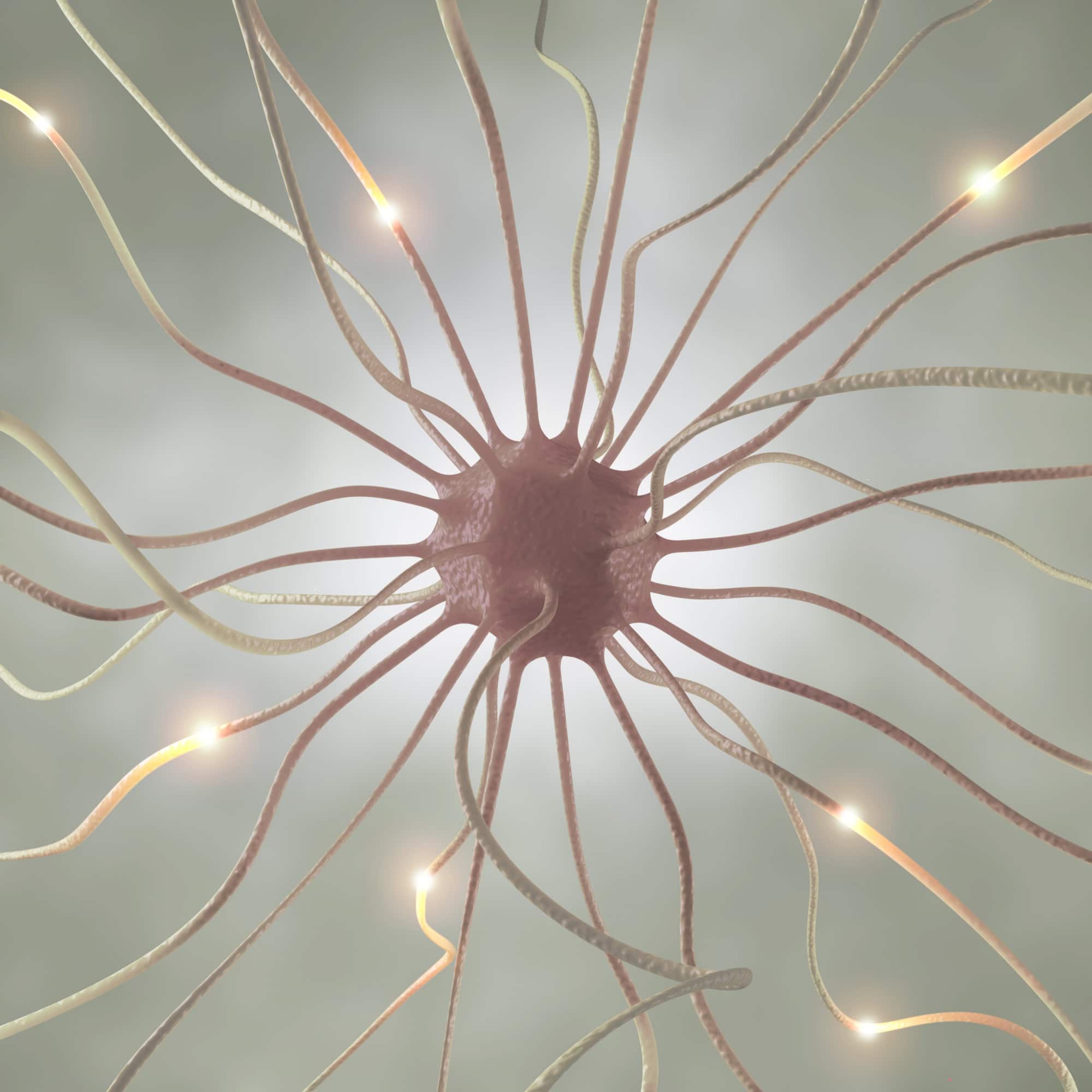 3D illustration of an active neuron with glowing synapses, representing Ascleus’s PBM cellular stimulation.